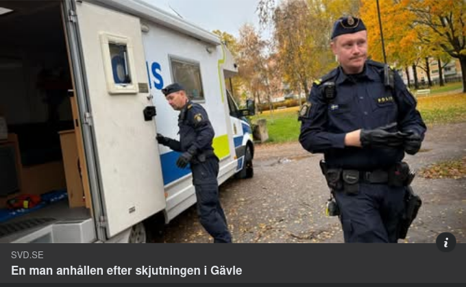 AI Med Gävle-Spegel Av Systemfel