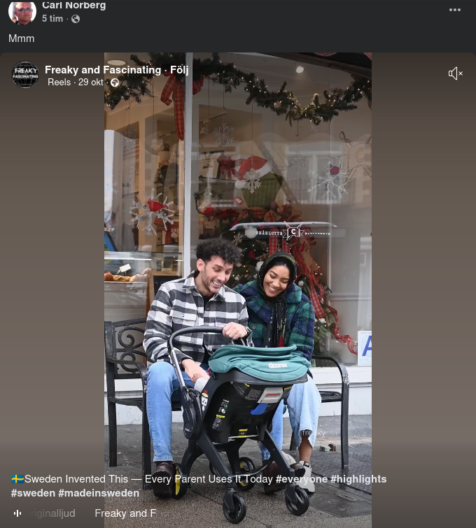 Den Svenska Barnvagnen