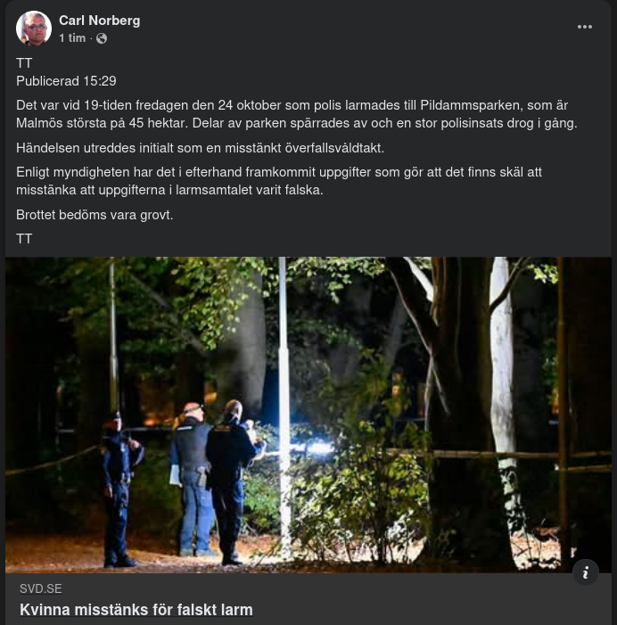 Misstänkt Överfallsvåldtäktsfalsklarmande Kvinna