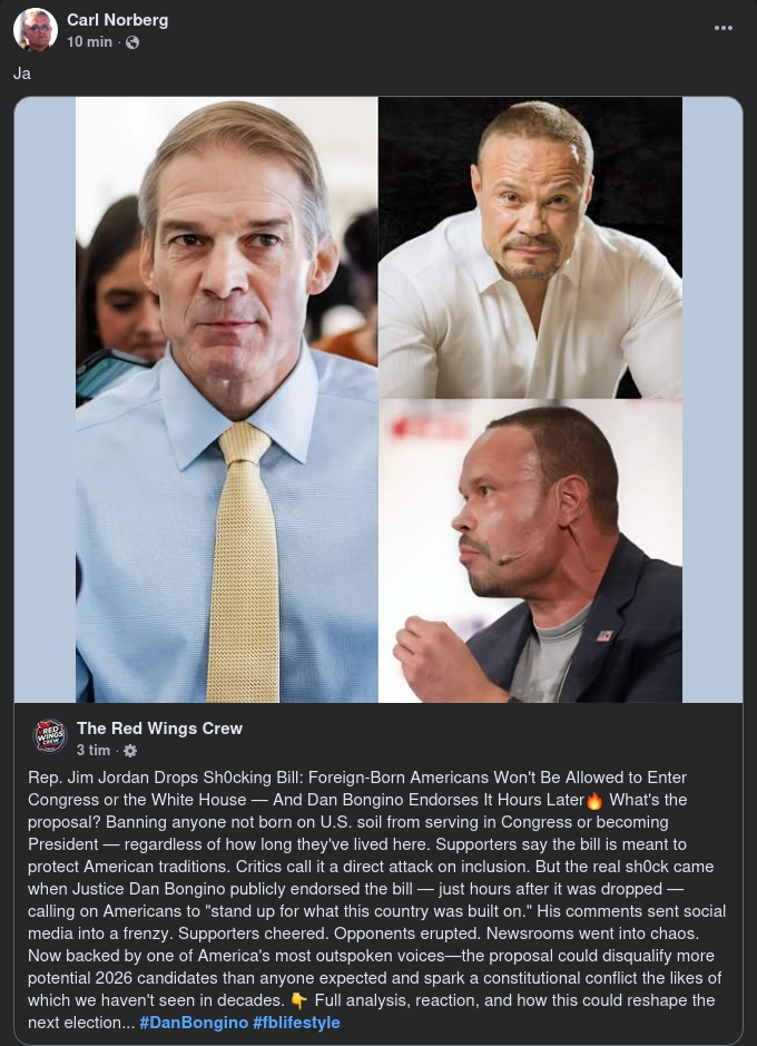 Amerikansk Födslorätt