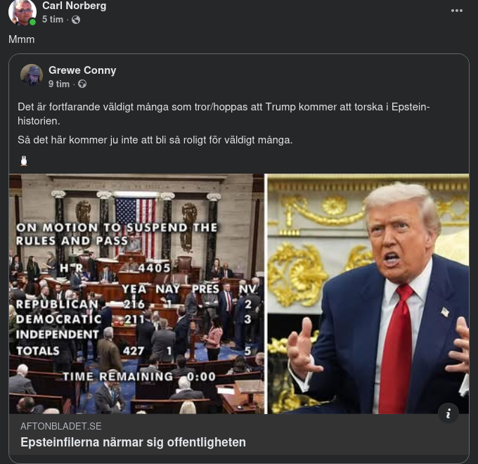 Offentlighetsnärmande Epstein-Filer..