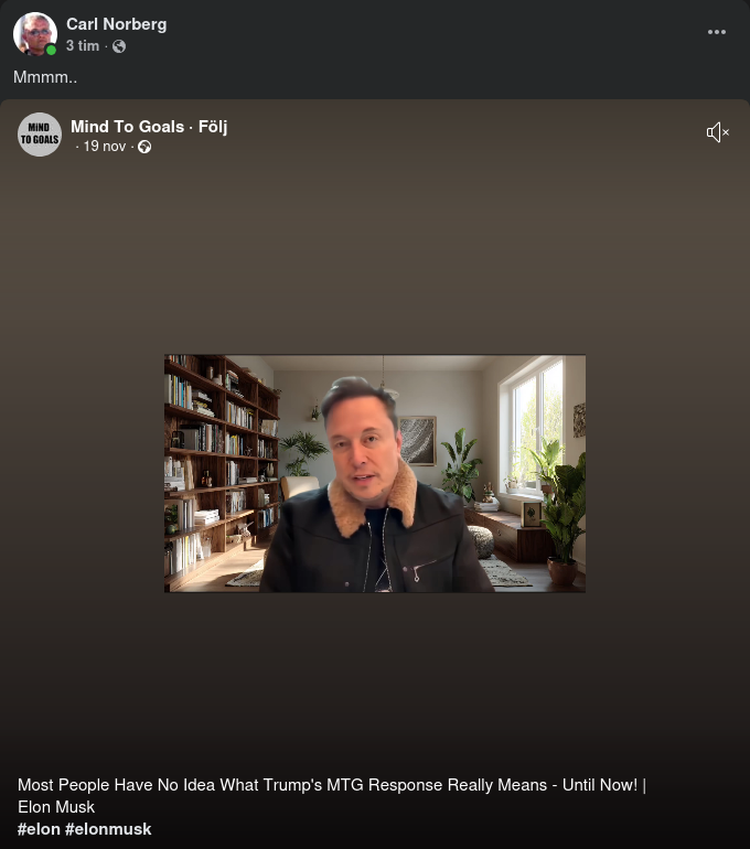 AI-Musk Om Trump & MTG