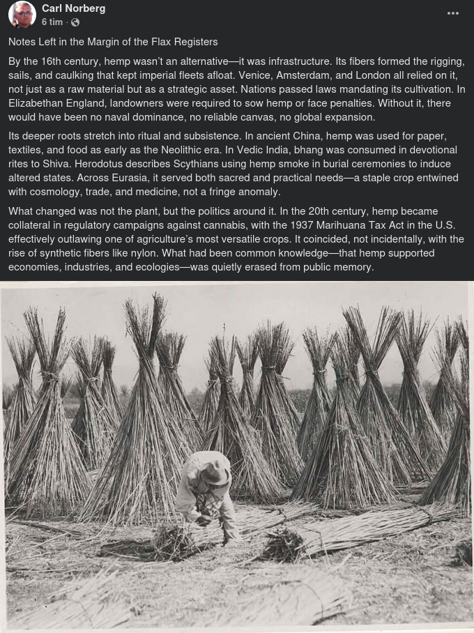 Gammal Vegetabilisk Infrastruktur & Politik