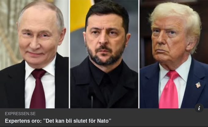 Expert-Oro Över Nato-Slut