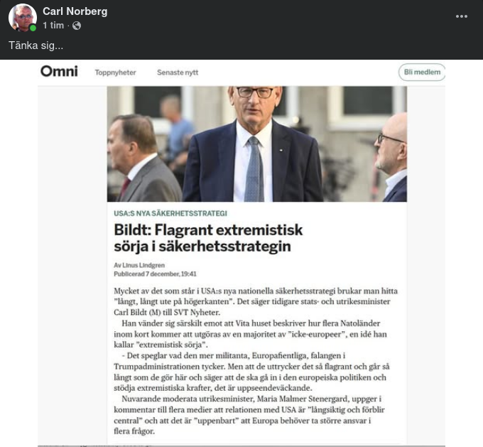 Bildt Om USA:s Nya Säkerhetsstrategi