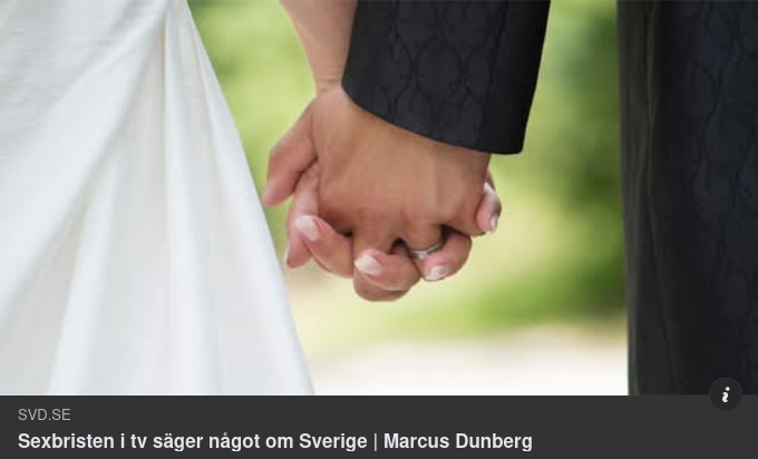 För Självbildsrevisionen