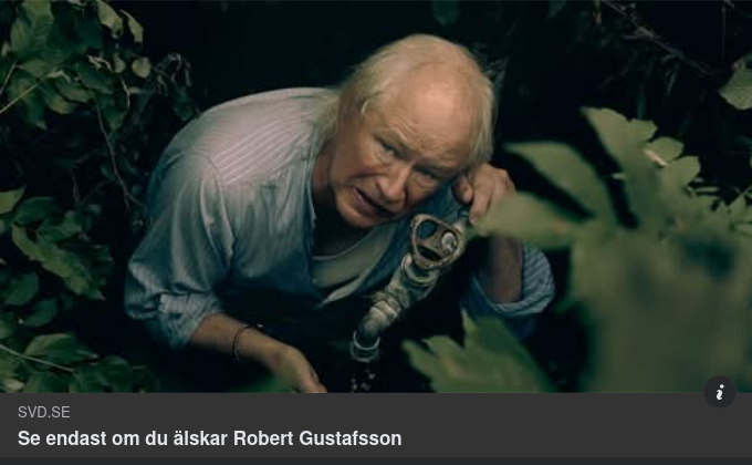 Observerande Gustafsson