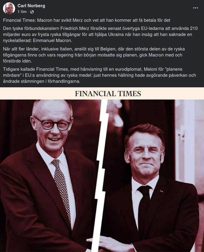 Merz, Makaronen & Frysta Ryska Tillgångar