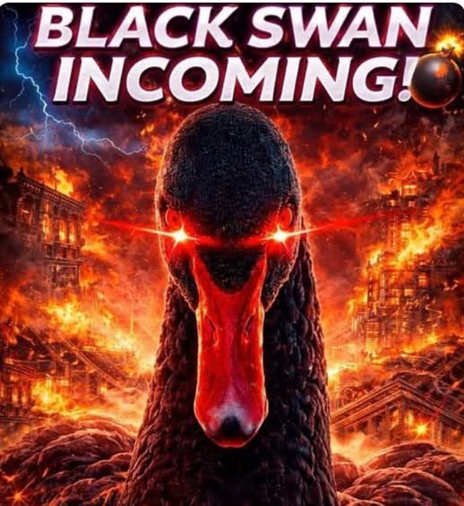 Svart Svan På Ingång