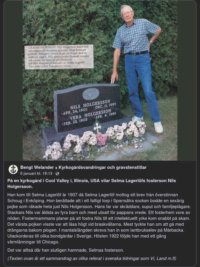 Nils Holgersson I Illinois