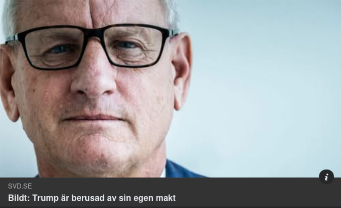 AI & En Maktberusningsteoretiserande Bildt I SvD