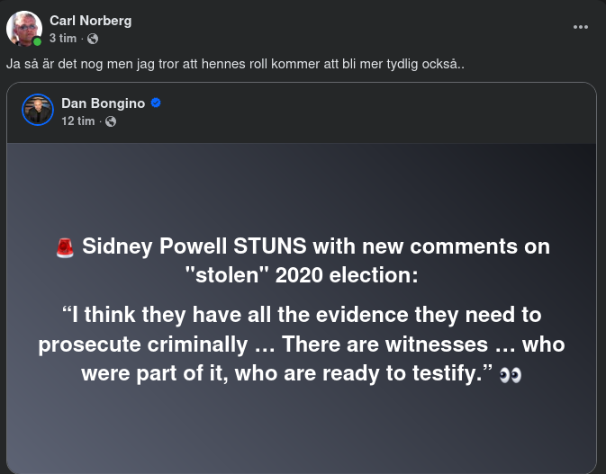 Sidney Powell & 2020-Valet