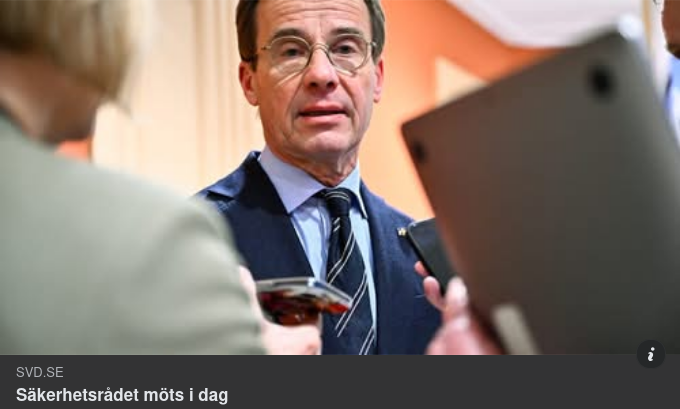 Säkerhetsrådet Är En Symptomhanteringskommitté