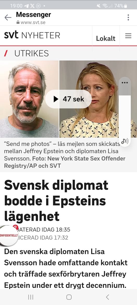 Diplomat Lisa Svensson & Epstein