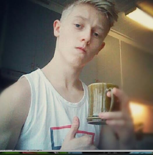 Den Svenska Ordningen..