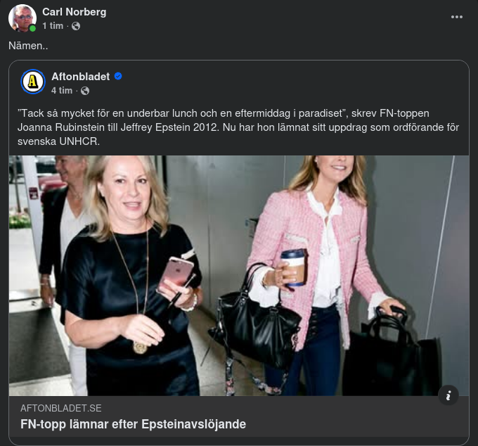 Joanna Rubinstein Lämnar Ordförandeuppdraget För UNHCR Efter Epsteinkontakt