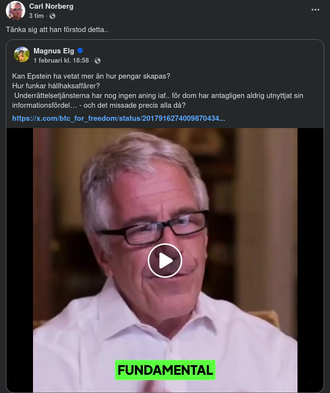 Bannon, Epstein & Monetärmekaniken