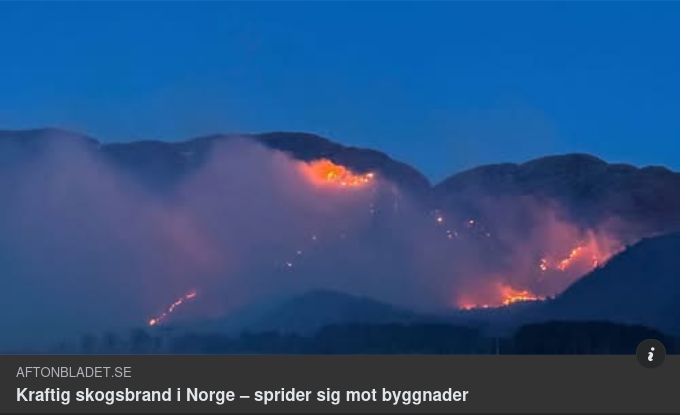 Norsk Skogsbrand