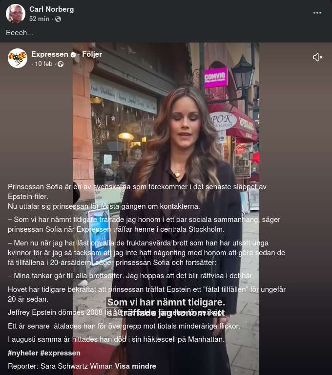 Prinsessan Sofia Om Epstein