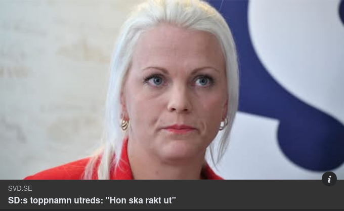SD Utreder Pilthammar Efter Ukrainaskepticism