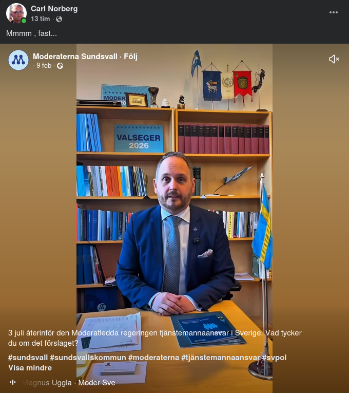 Tjänstemannaansvaret