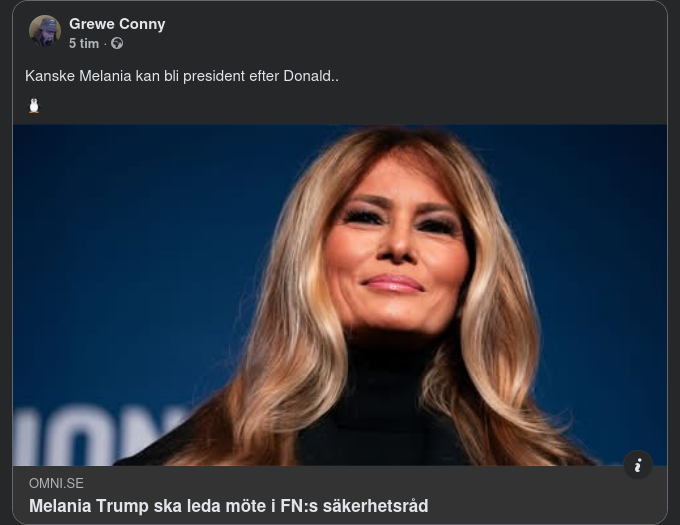 Melania Efter Donald..