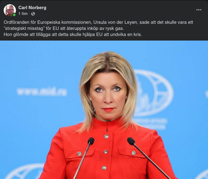 Strategiskt Misstag & Krisundvikande