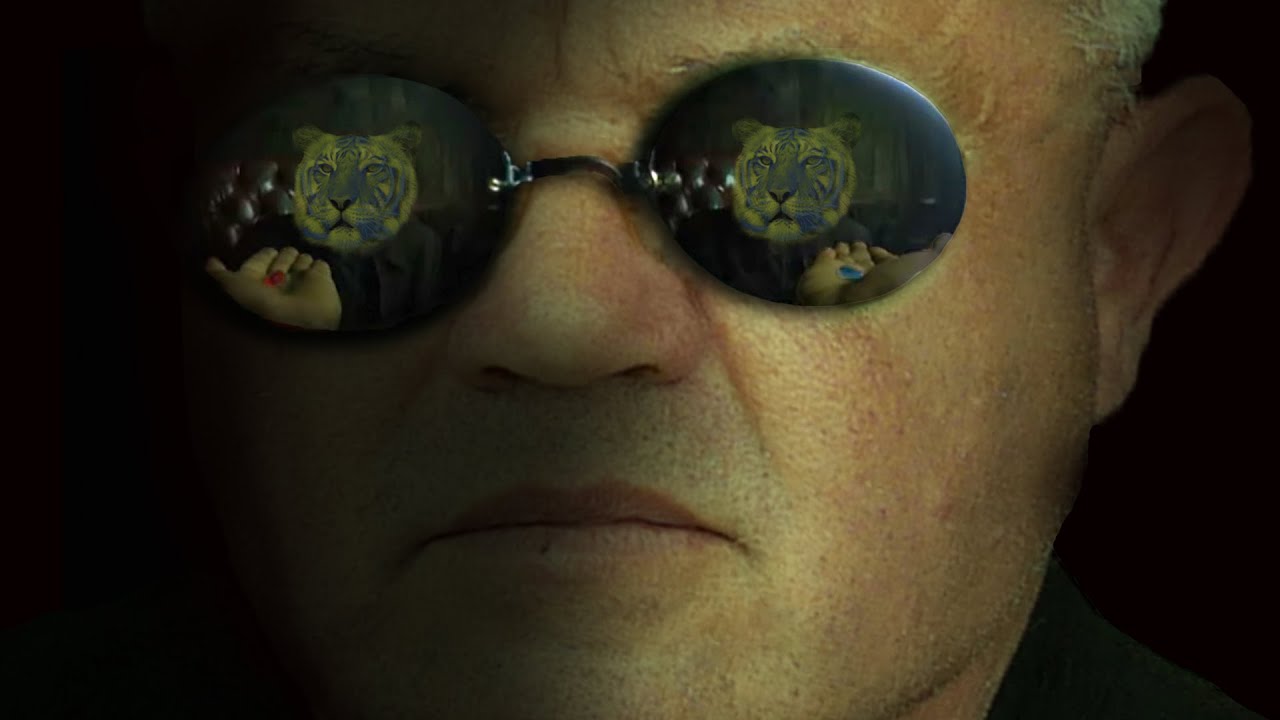 Man kan ignorera verkligheten, ej konsekvenserna