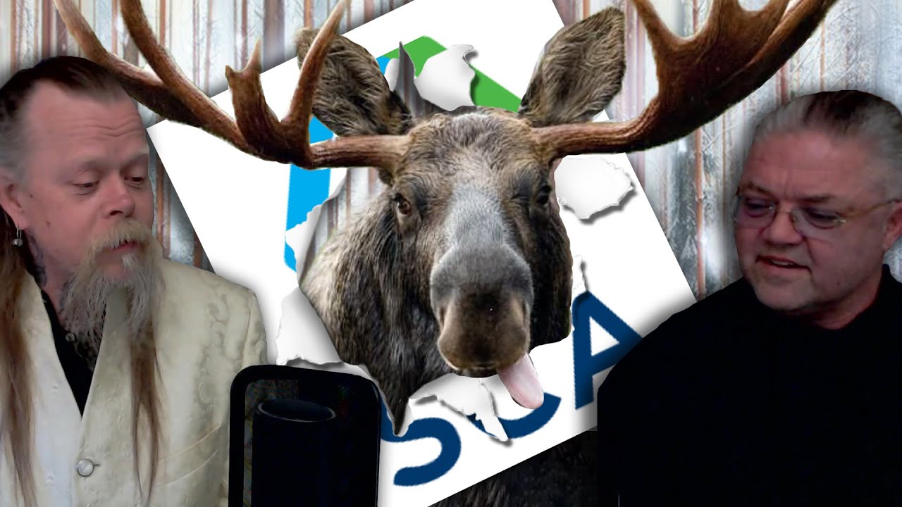 Älgarna demonstrerar