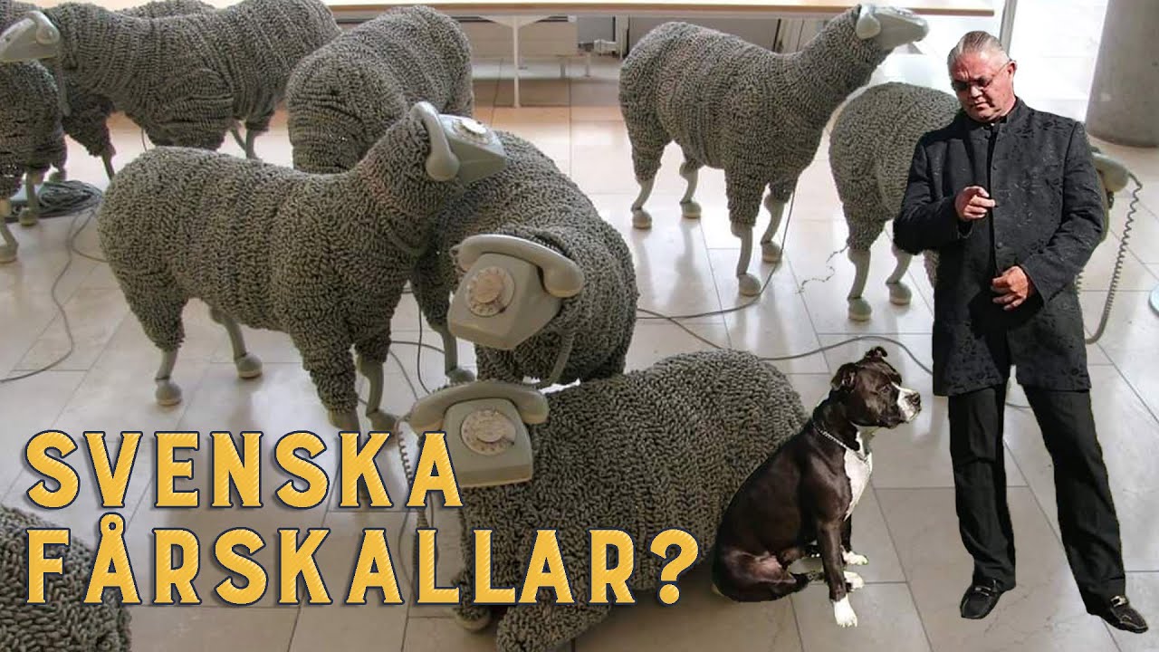 Bara döda fiskar följer strömmen