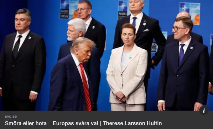 Analys Av SvD-Artikel Gällande Smöra Eller Hota Trump