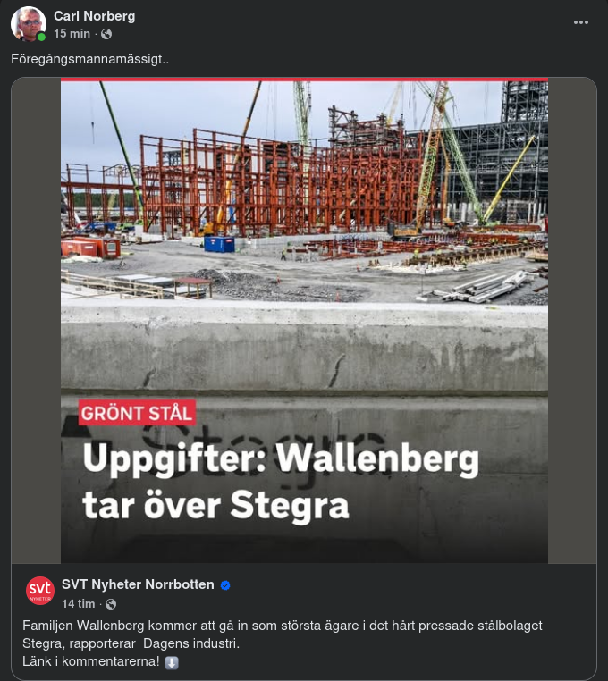 Wallenberg & Stegra