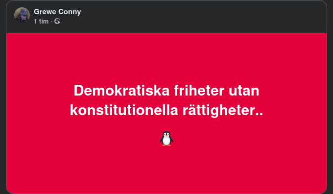 Friheter/Rättigheter - Grundlag/Konstitution
